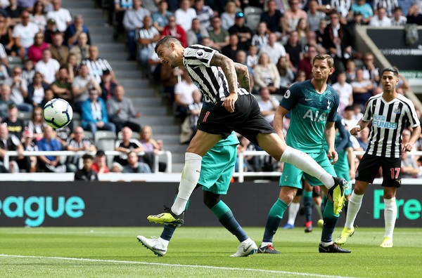 LUCKY88 Tottenham vs Newcastle United - Nhận định bóng đá 25/08/2019 - Khí thế đang lên