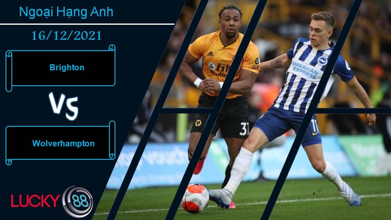 LUCKY88 Brighton vs Wolverhampton, Nhận định bóng đá 16/12/2021, Bầy sói trở lại