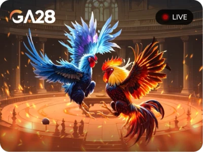 LUCKY88 Đá Gà Livestream